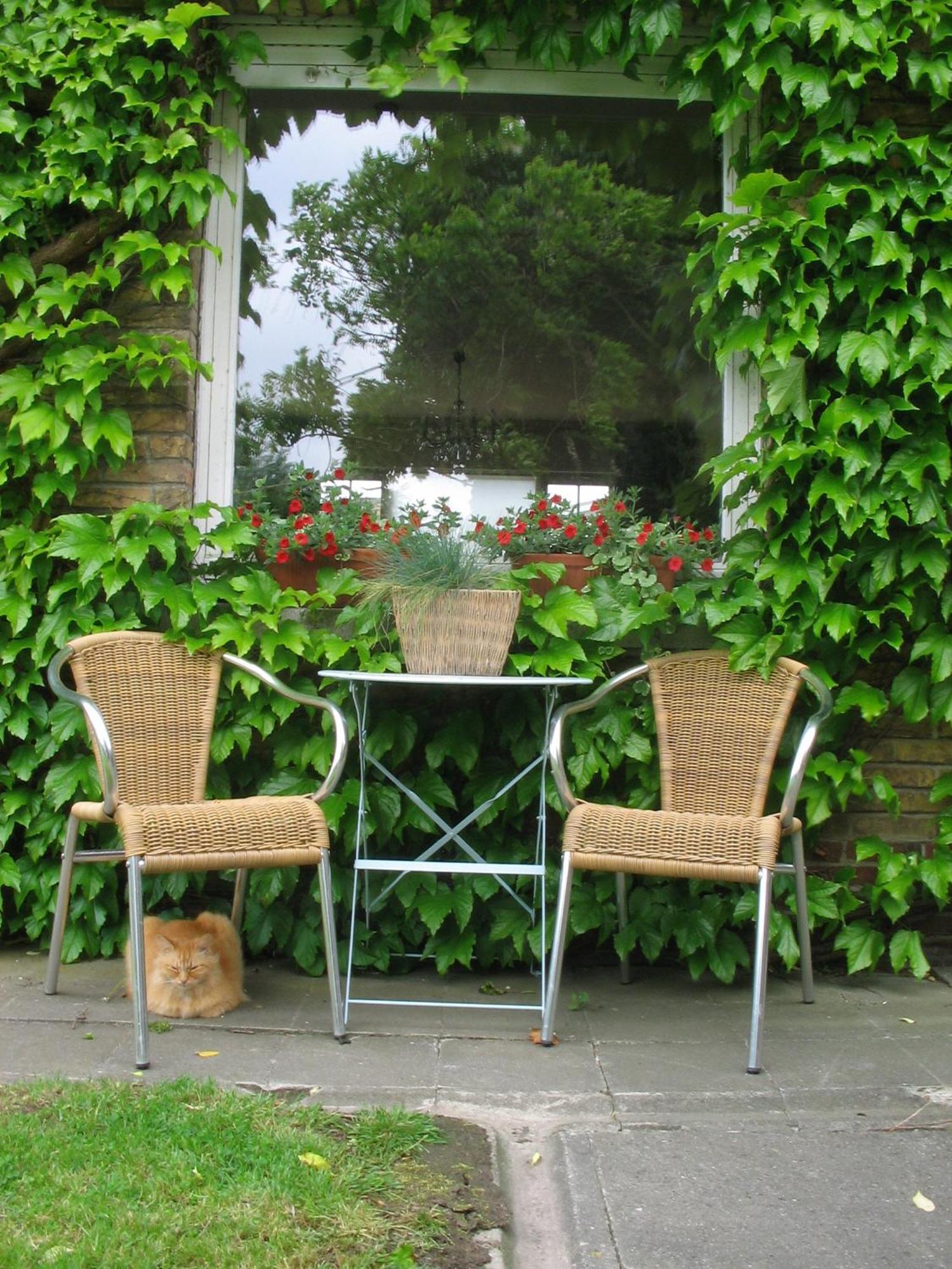 B&B Villa Vanilla Ypres Exterior photo